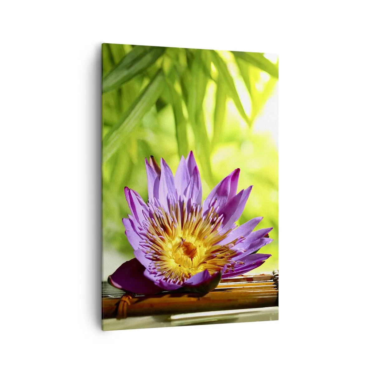 Obraz na plátne - Na ázijskom slnku - 70x100 cm