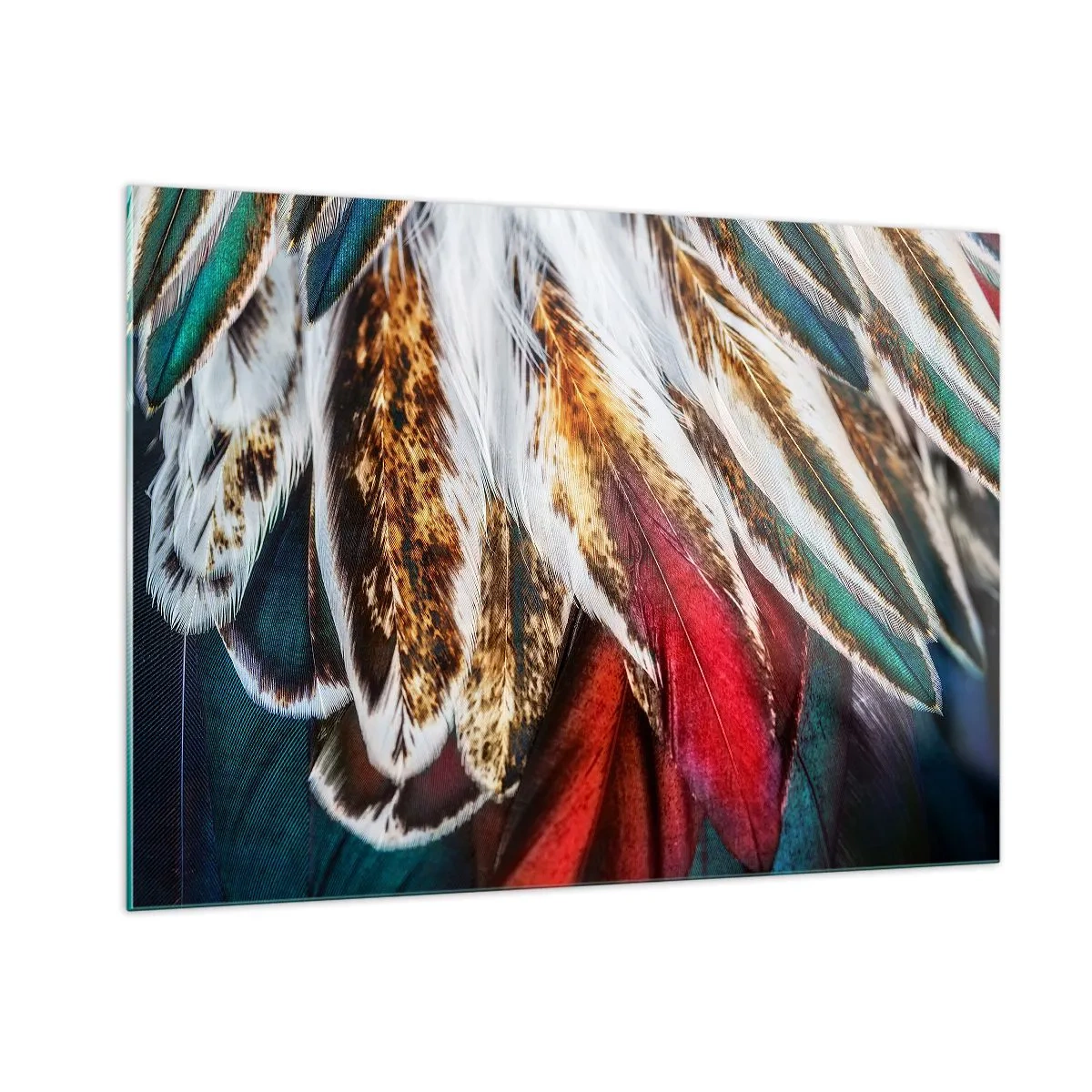 Obraz na skle - Tajomstvo letu - 100x70 cm