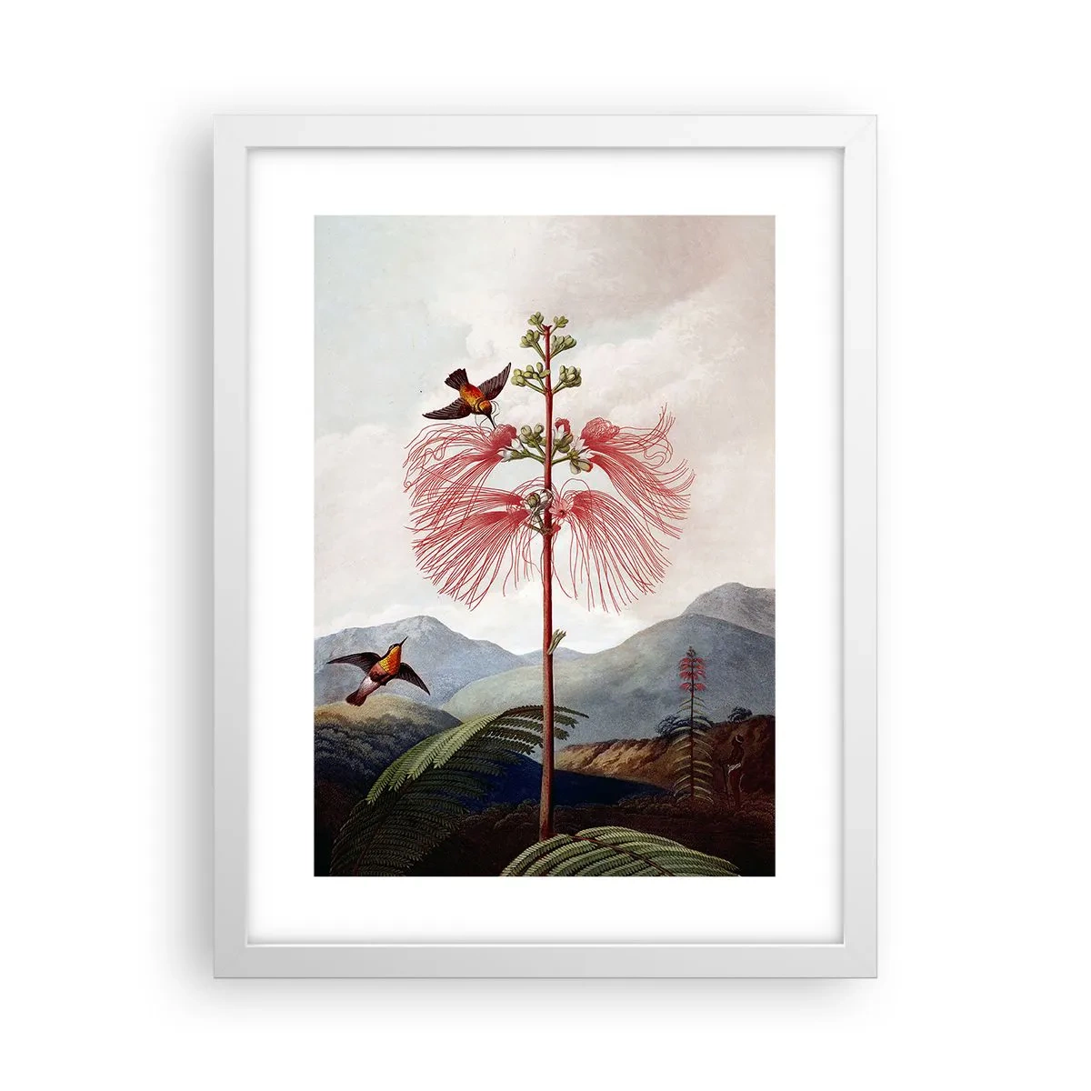 Plagát v bielom ráme - V tropickom raji - 30x40 cm