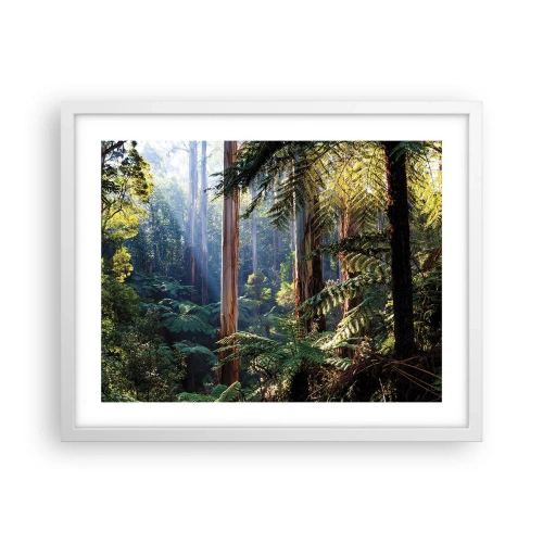 Plagát v bielom ráme - Poviedka lesa - 50x40 cm