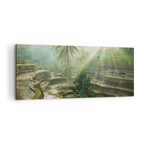 Obraz na plátne - Vyrastať na slnku - 100x40 cm