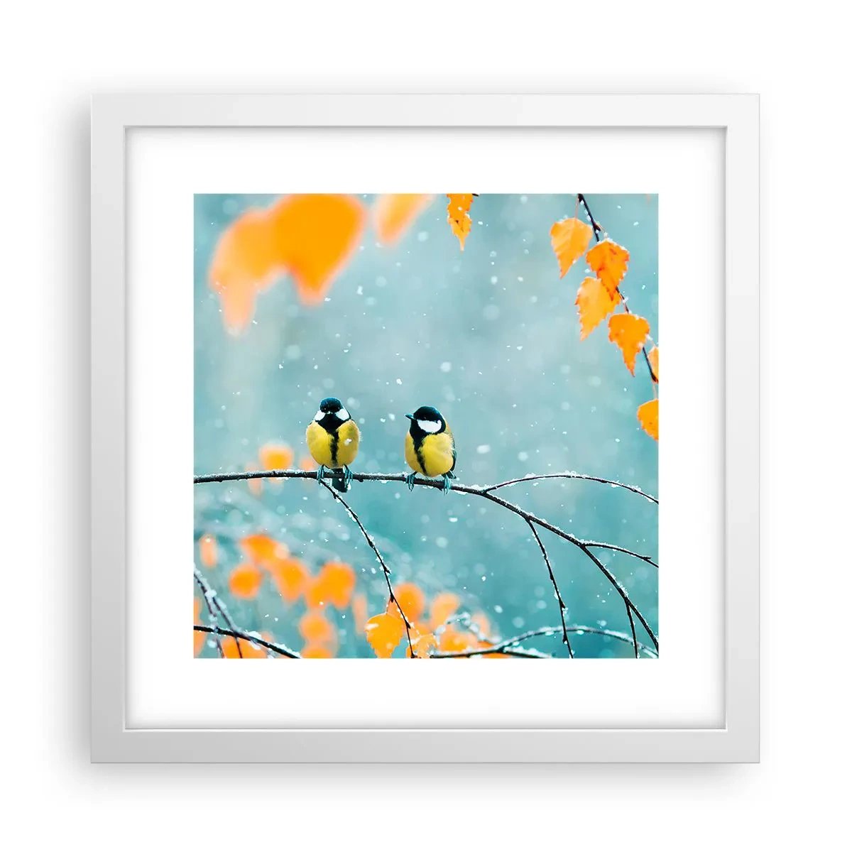 Plagát v bielom ráme - Vtáčie klebety - 30x30 cm