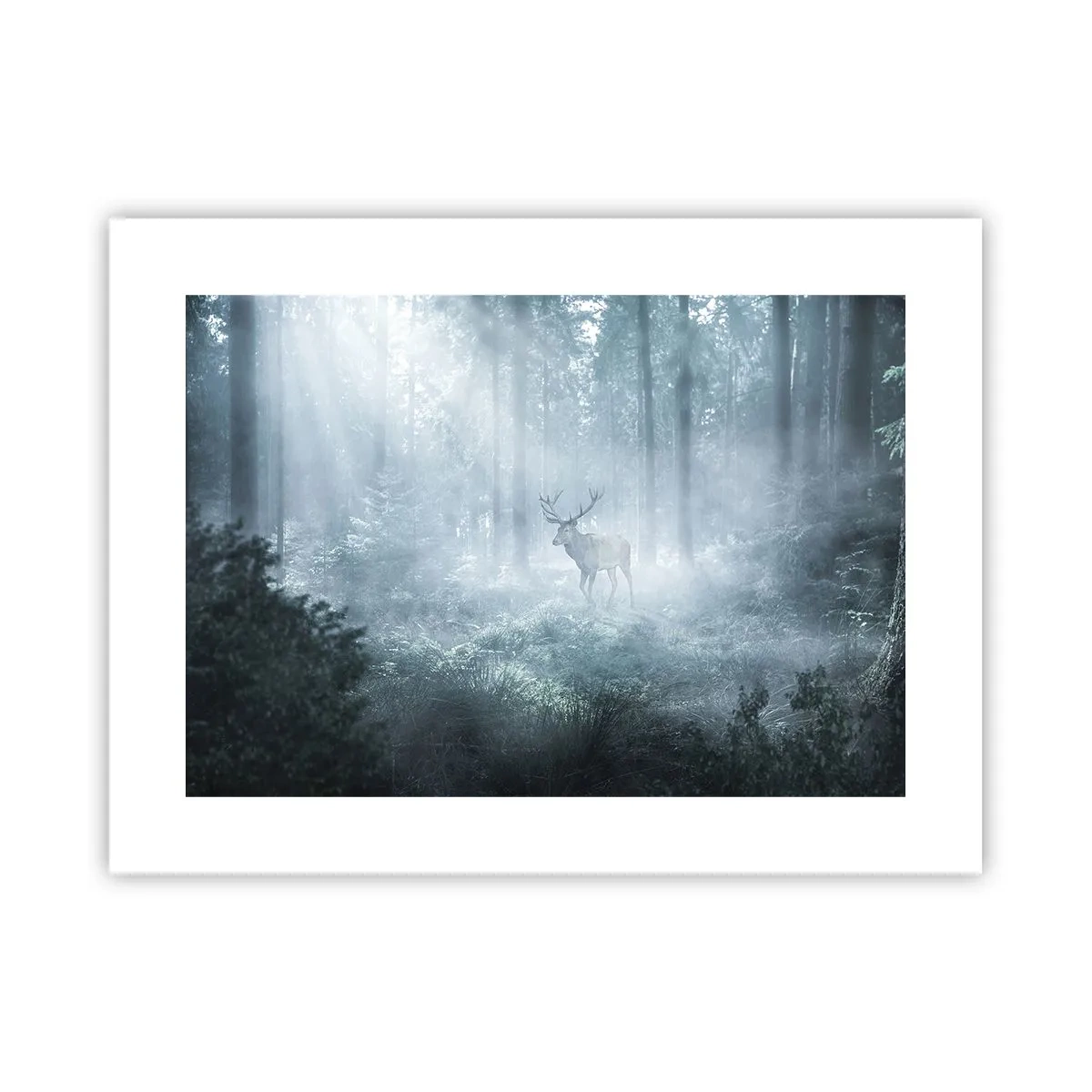 Plagát - Ranná obchôdzka sídliska - 40x30 cm