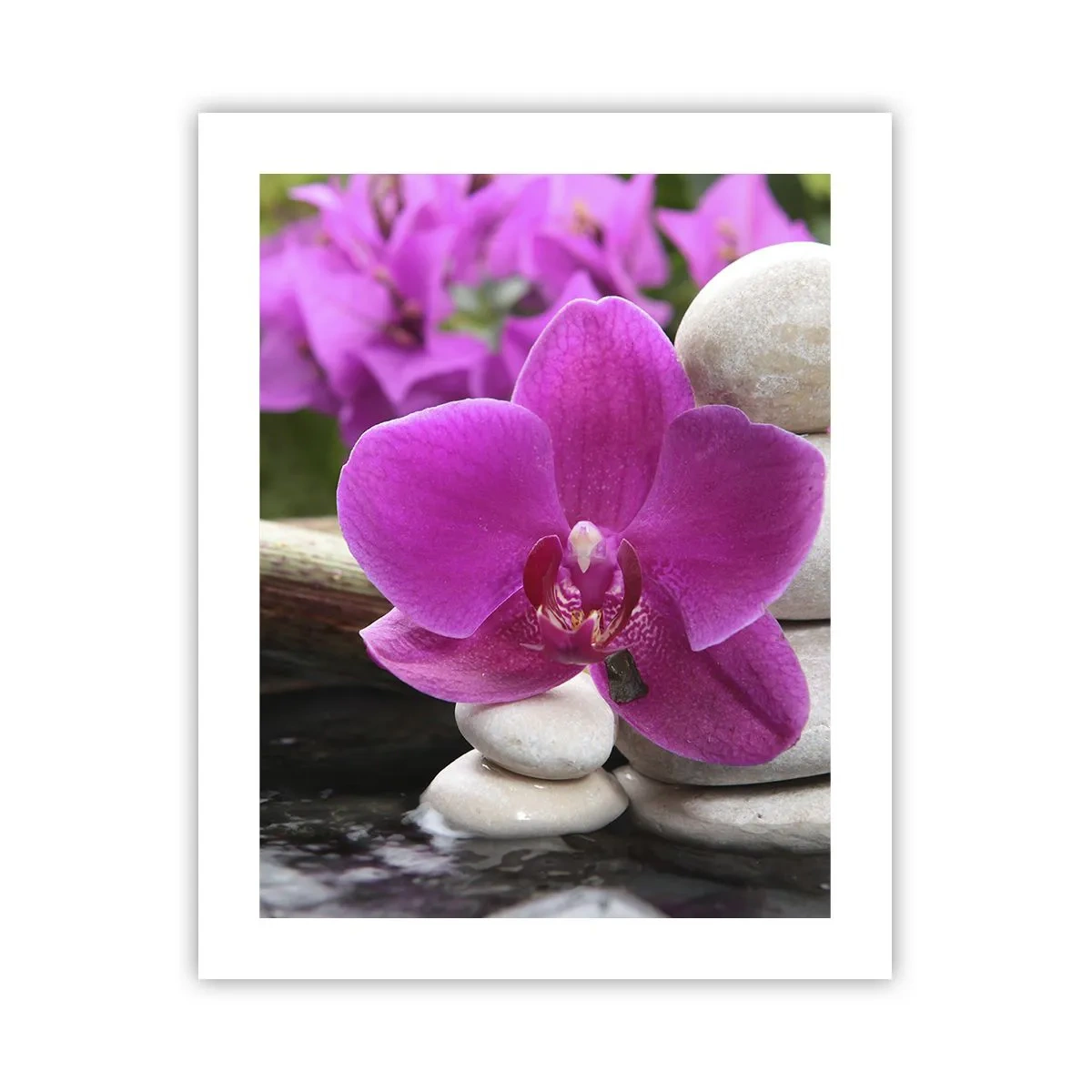 Plagát - Už odpočívaš - 40x50 cm