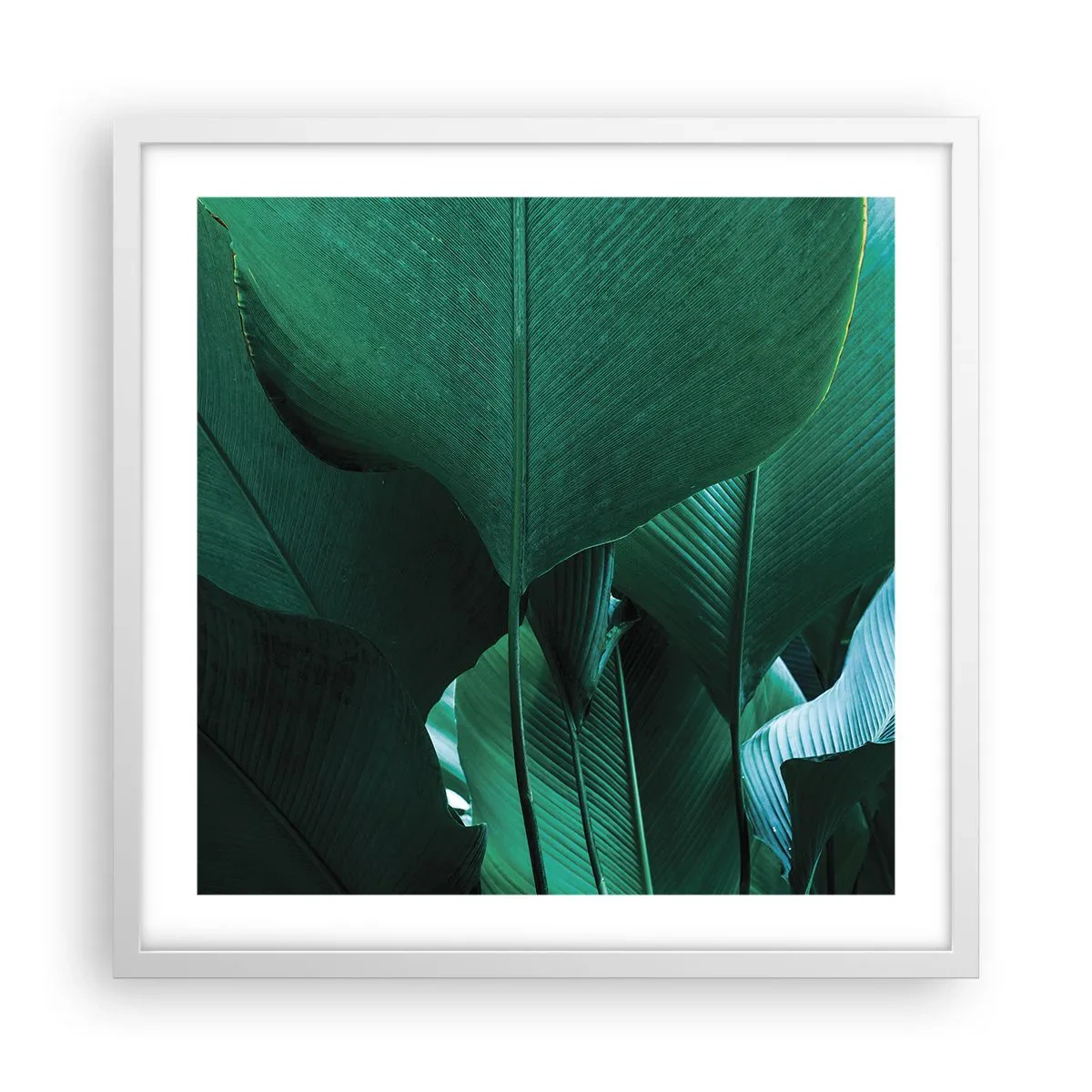 Plagát v bielom ráme - Obrátené k svetlu - 50x50 cm