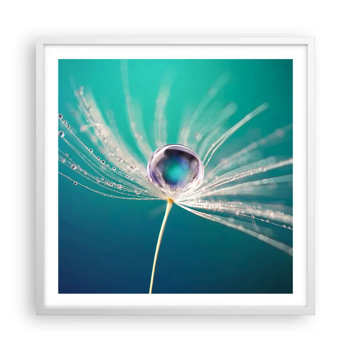 Plagát v bielom ráme - Mystický okamih - 60x60 cm