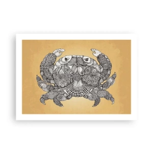 Plagát - Príbehy pána Kraba - 70x50 cm