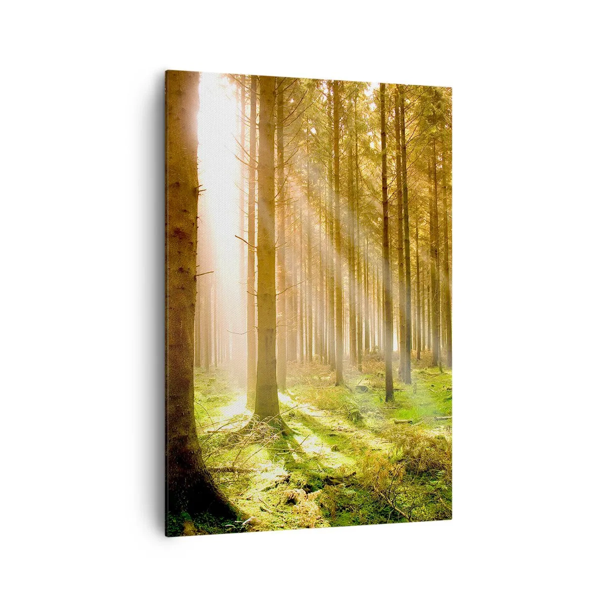 Obraz na plátne - Čoskoro sa objavia elfovia - 70x100 cm