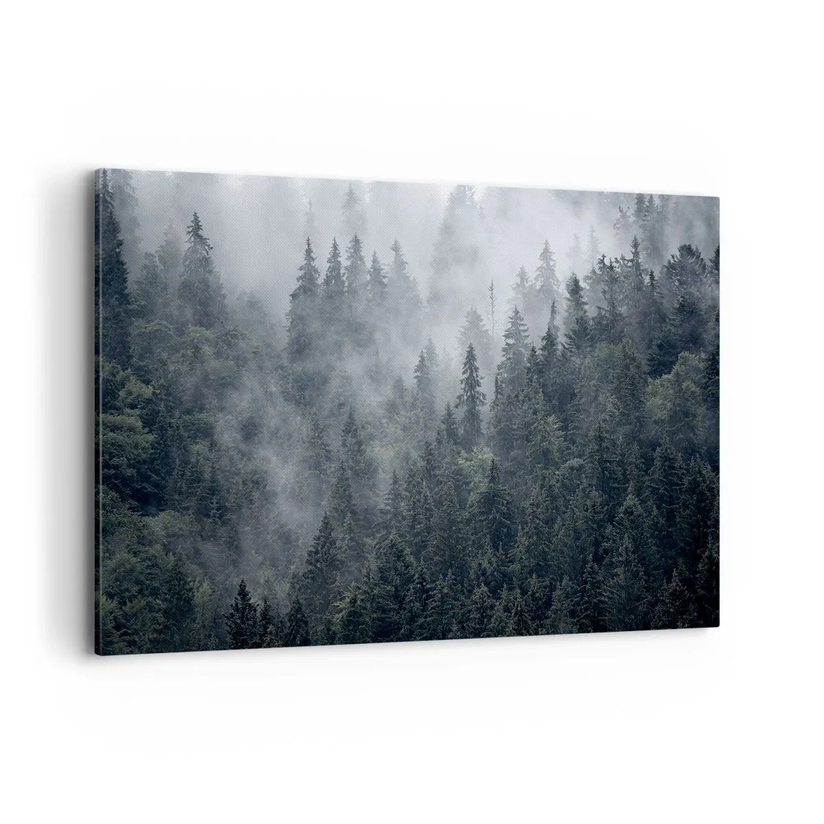 Obraz na plátne - Lesné svitania - 120x80 cm