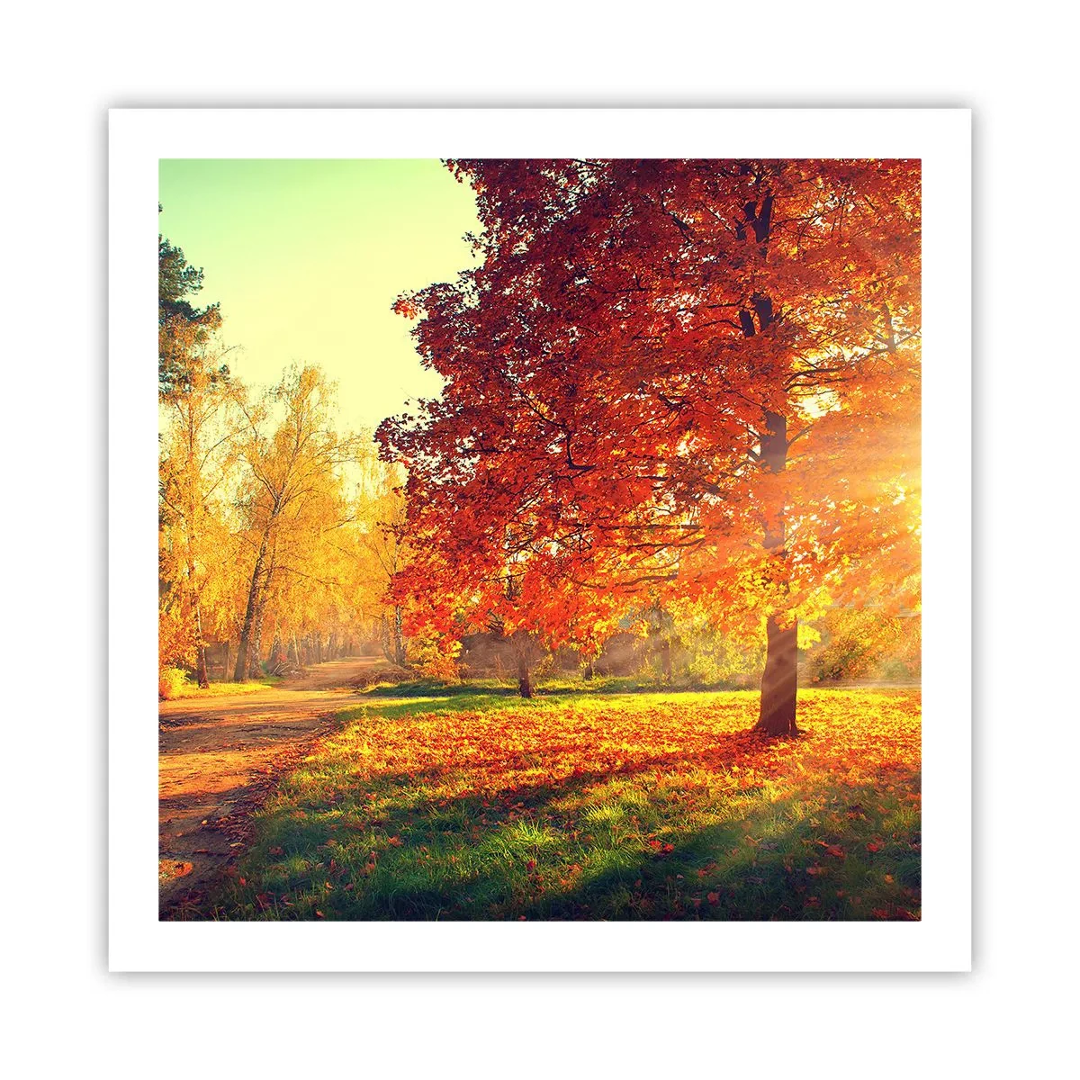 Plagát - Červené je krásne - 60x60 cm