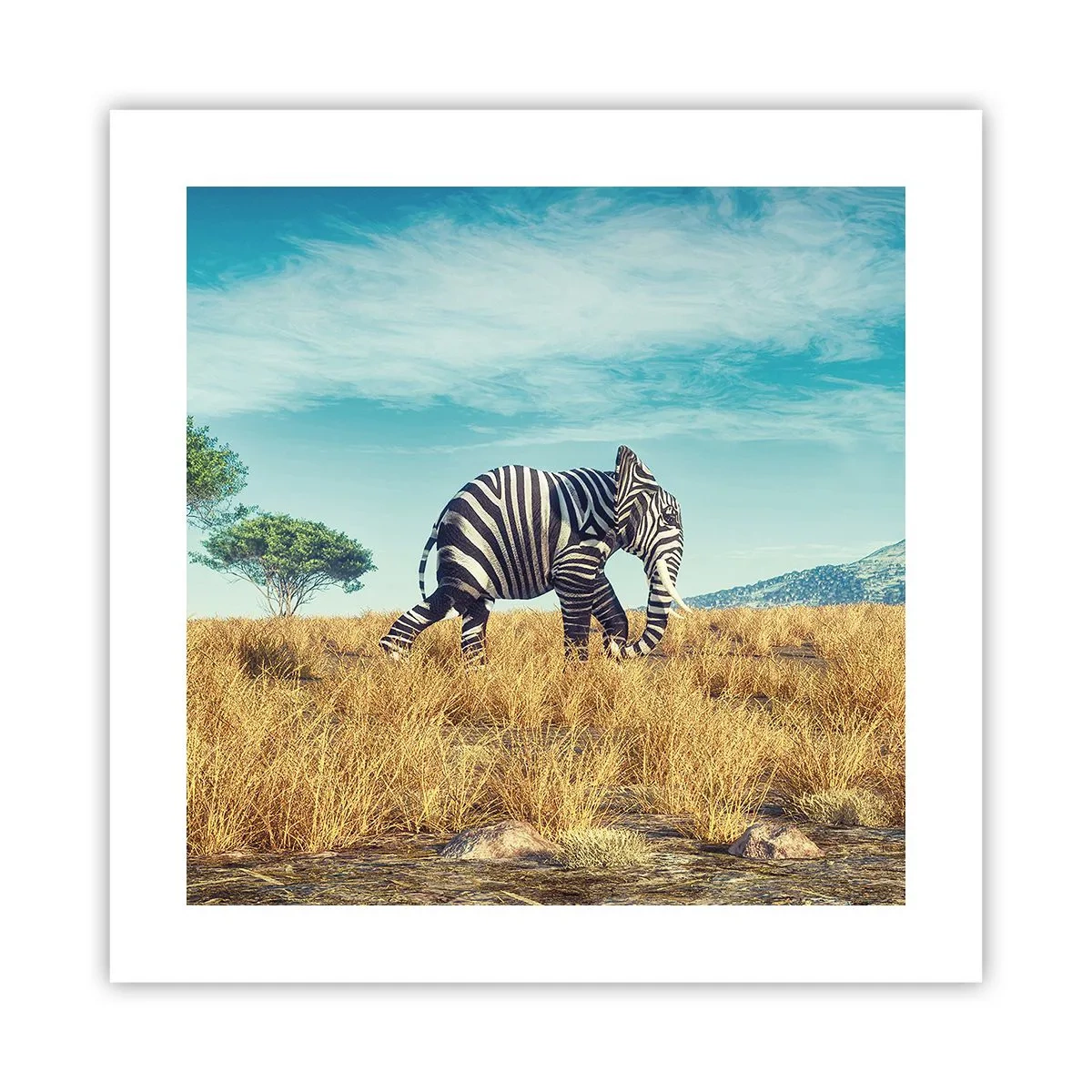 Plagát - Šedá už nie je v móde - 40x40 cm