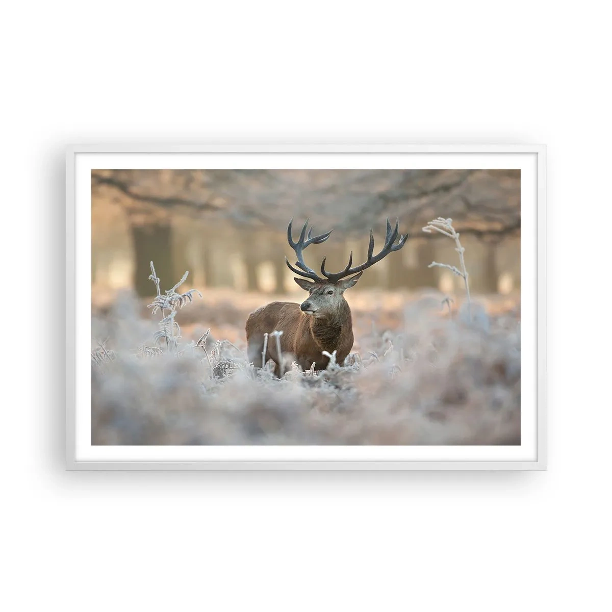 Plagát v bielom ráme - Svieže ráno - 91x61 cm