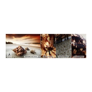 Vzorka samolepiacej fototapety Deluxe Sticker - Vyhnankyne vĺn - Krajina, More, Mušle - 100x30 cm
