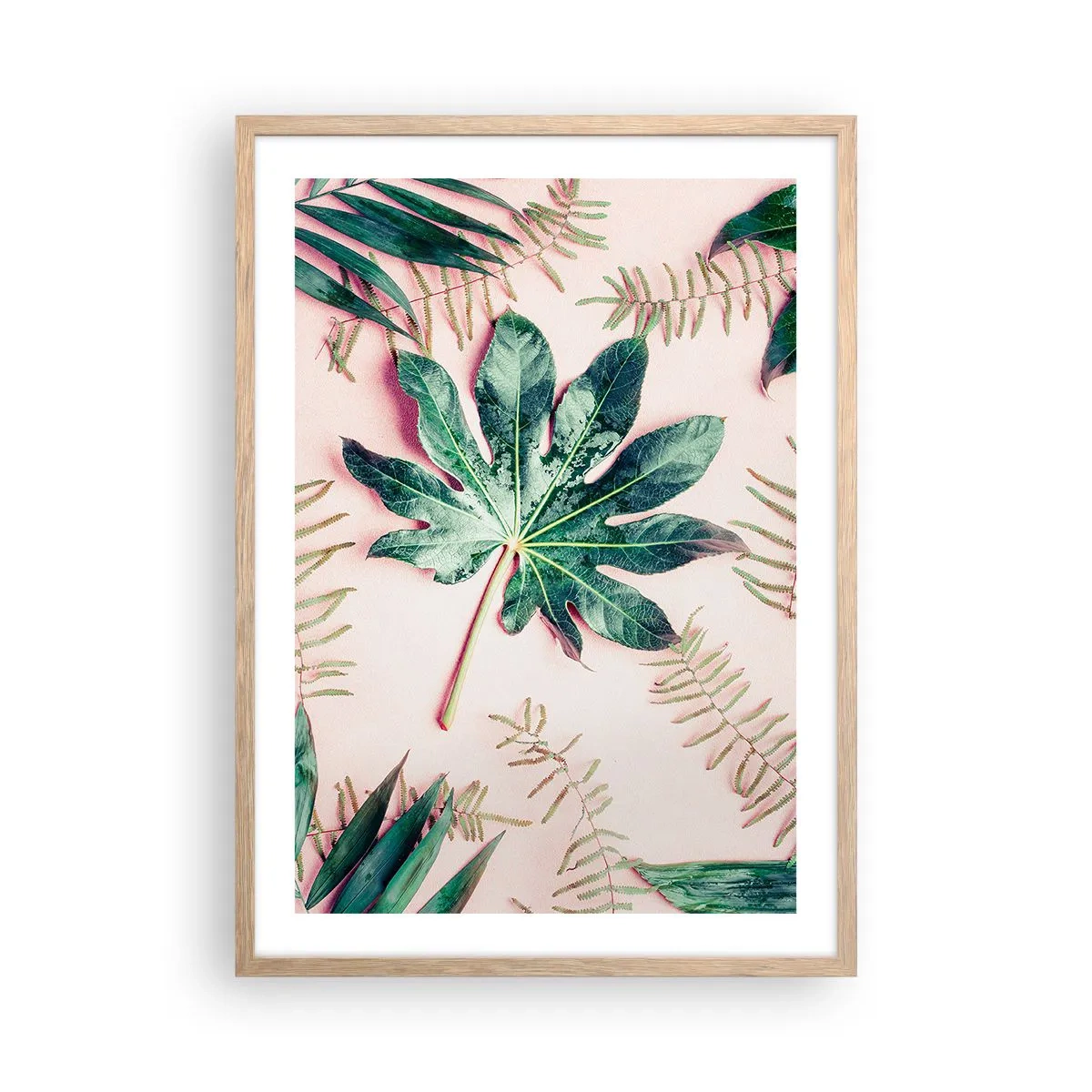 Plagát v ráme zo svetlého duba - Štúdia zelenej na ružovom pozadí - 50x70 cm