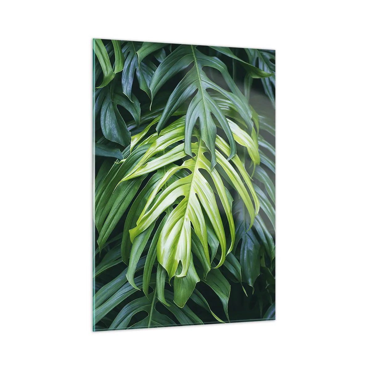 Obraz na skle - Ponoriť sa do sviežosti - 50x70 cm