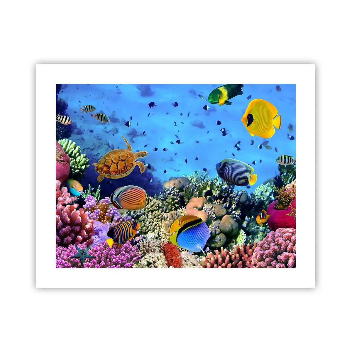 Plagát - Čo vieme o živote… - 50x40 cm