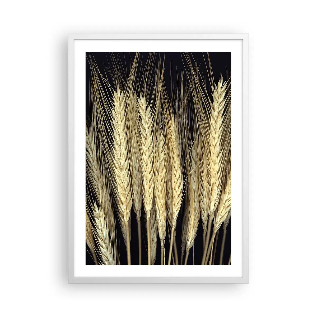 Plagát v bielom ráme - Rustikálna mágia - 50x70 cm