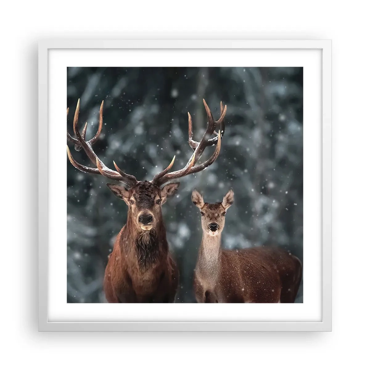 Plagát v bielom ráme - Pán lesa so svojou ženou - 50x50 cm