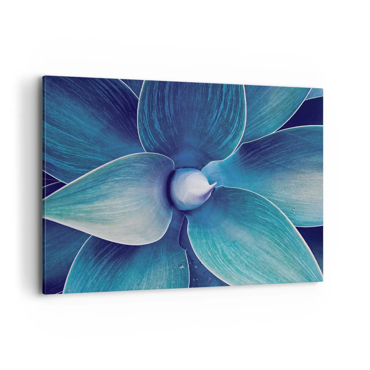 Obraz na plátne - Modrastý od neba - 100x70 cm