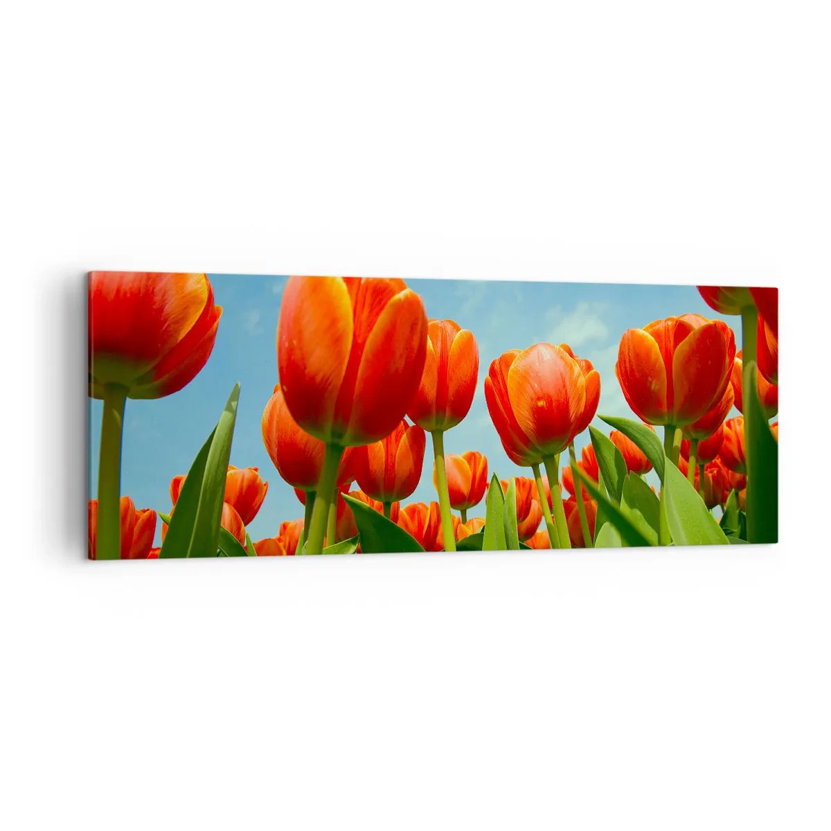 Obraz na plátne - Okrem blankytného neba nič v živote nepotrebujú - 140x50 cm