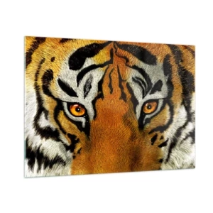 Obraz na skle - Nebezpečný a krásny - 100x70 cm