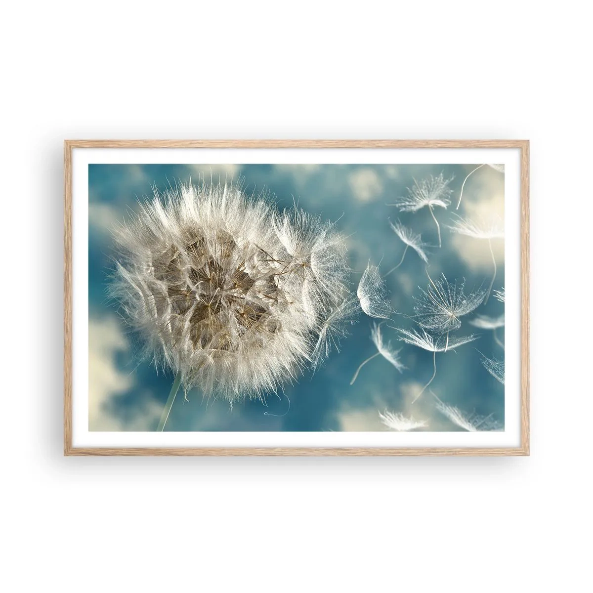 Plagát v ráme zo svetlého duba - Dych anjela - 91x61 cm