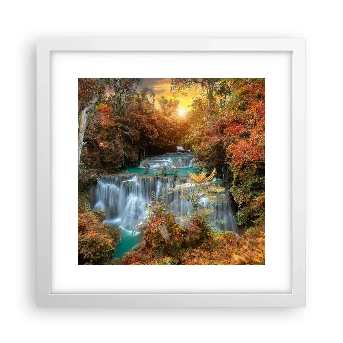 Plagát v bielom ráme - Ukrytý poklad lesa - 30x30 cm