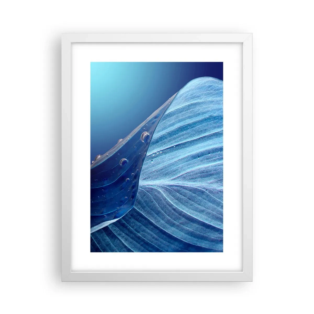 Plagát v bielom ráme - Skryté kvapky modrej - 30x40 cm