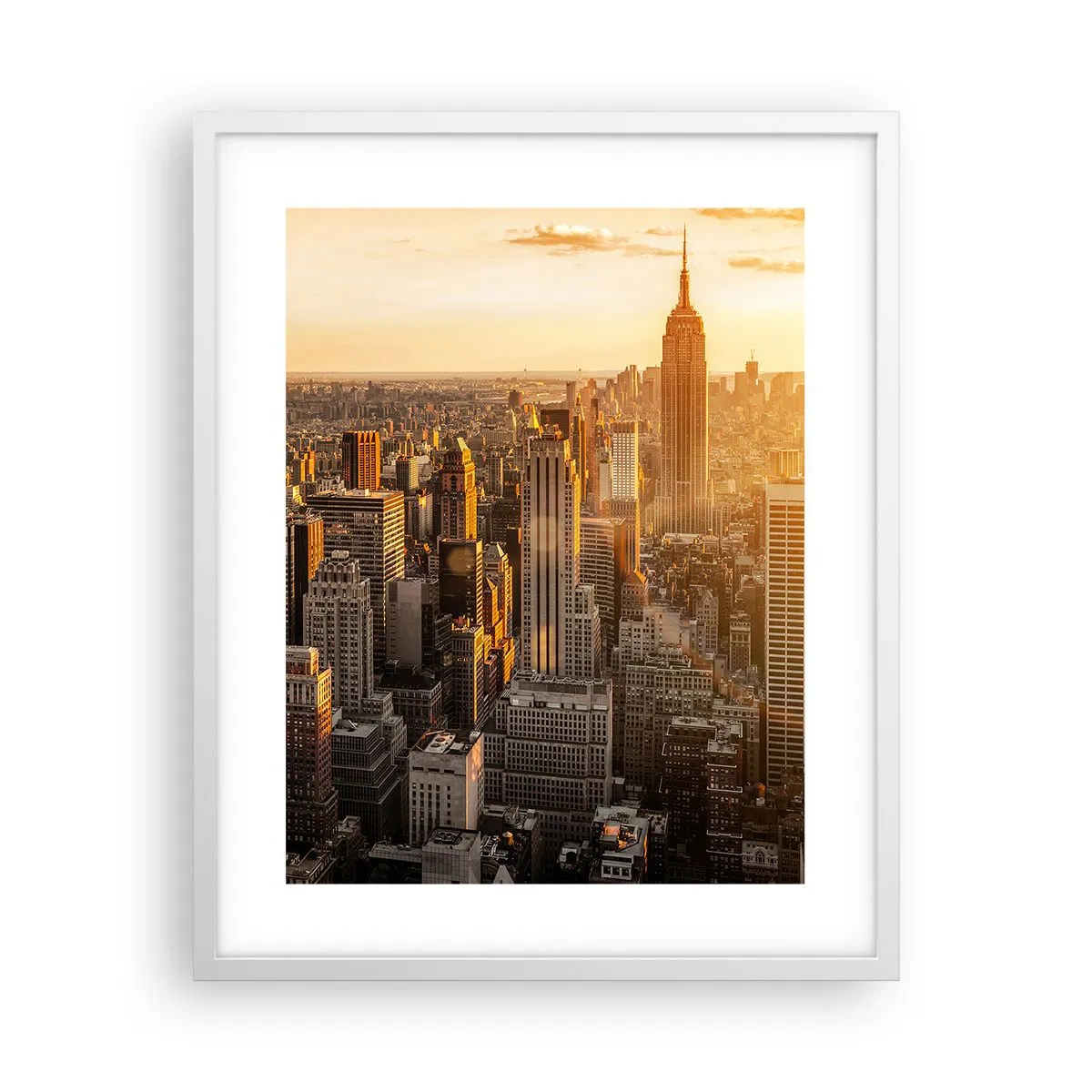 Plagát v bielom ráme - Rast na slnku - 40x50 cm