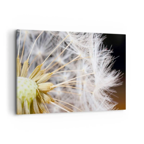 Obraz na plátne - Tesne pred odletom - 120x80 cm