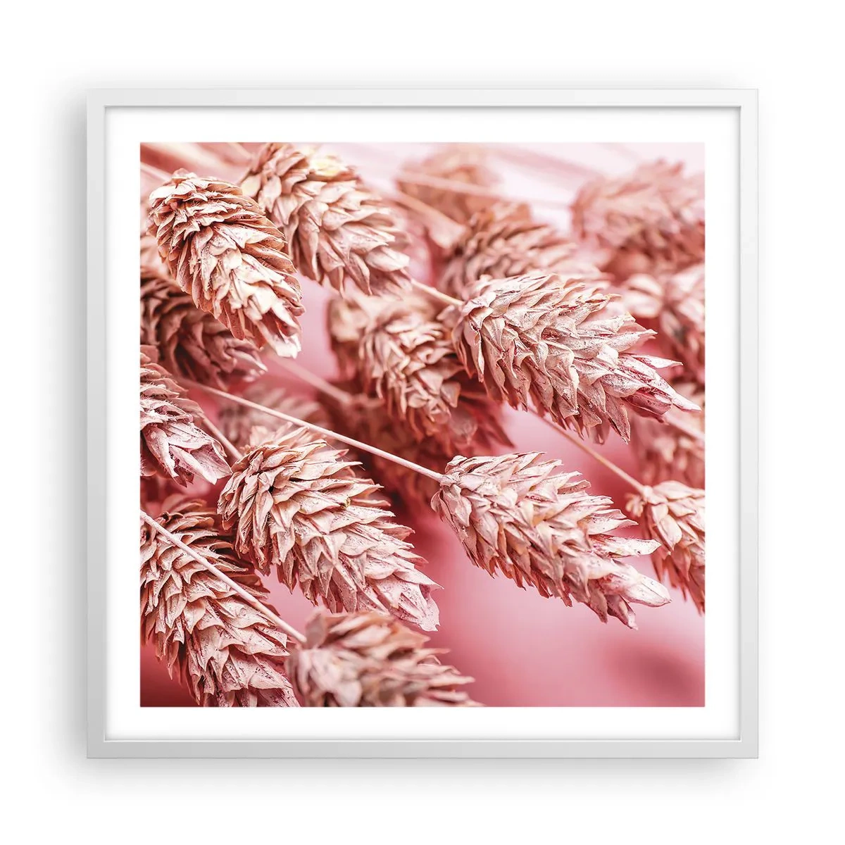 Plagát v bielom ráme - Kvetinová kaskáda v ružovej - 60x60 cm