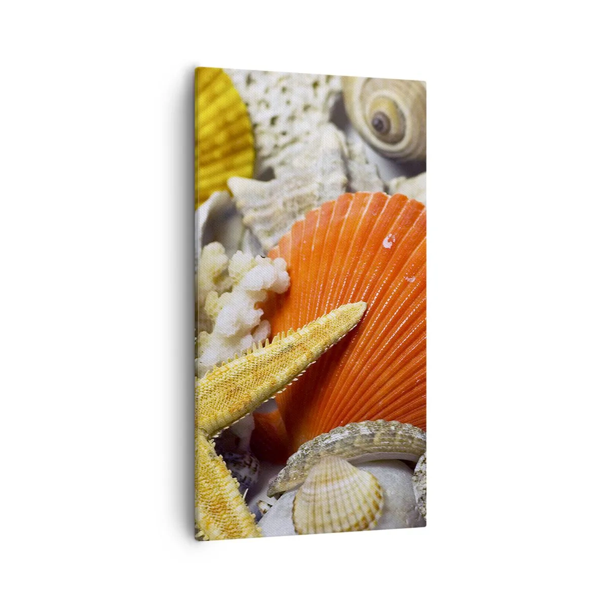 Obraz na plátne - Poklady oceánu - 55x100 cm