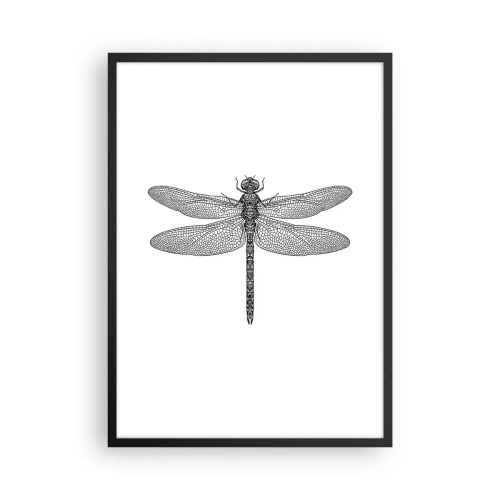 Plagát v čiernom ráme - Čiernobiela ilustrácia vážky na bielom pozadí - 50x70cm - Presnosť prírody - Moderná nástenná dekorácia do obývacej izby a spálne ARTTOR