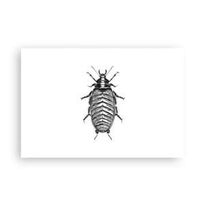 Plagát - Vzorový exemplár! - 91x61 cm