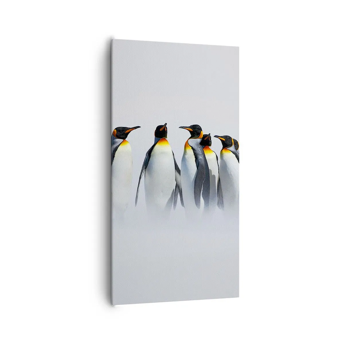 Obraz na plátne - Stretnutie vo večerných róbach - 65x120 cm