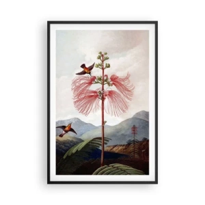 Plagát v čiernom ráme - V tropickom raji - 61x91 cm