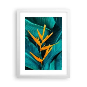 Plagát v bielom ráme - Rajský kvet - 30x40 cm