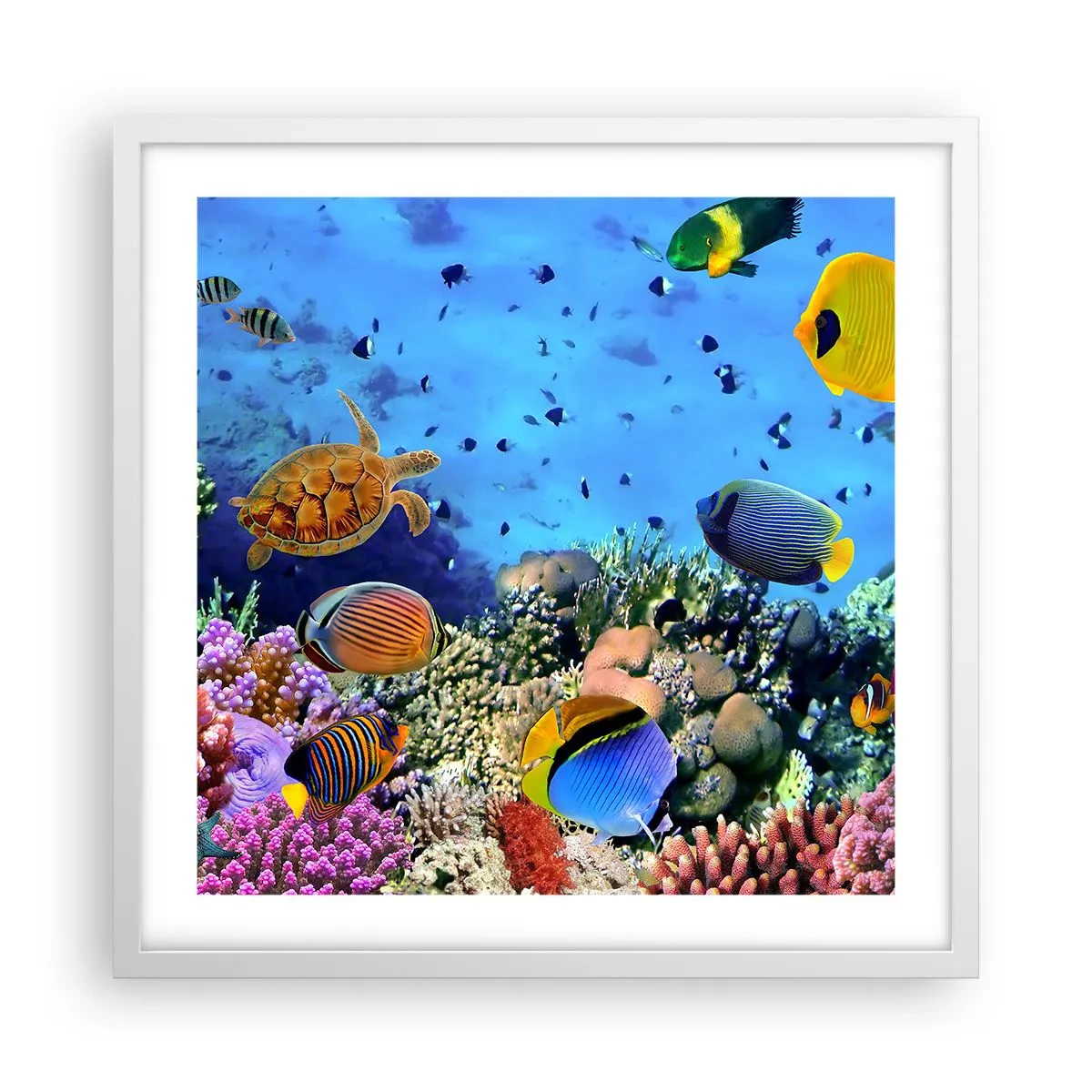 Plagát v bielom ráme - Čo vieme o živote… - 50x50 cm