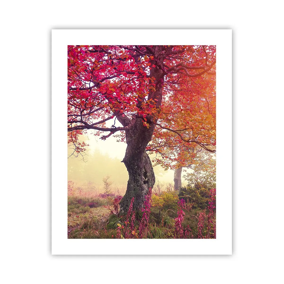 Plagát - Šialenstvo rozkvetu - 40x50 cm