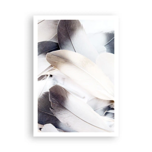 Plagát - Takmer anjelské - 70x100 cm