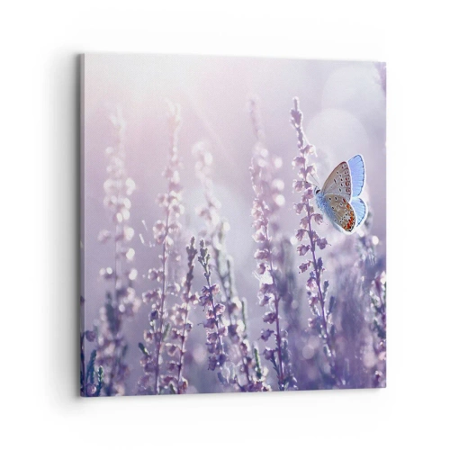 Obraz na plátne - Bozk motýľa - 70x70 cm