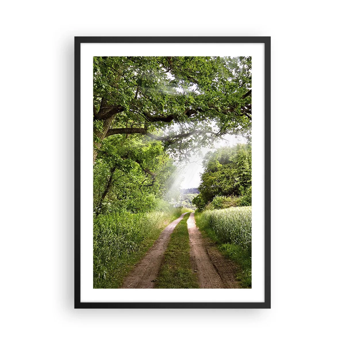 Plagát v čiernom ráme - Zatienená prašná cesta obklopená sviežimi zelenými stromami a lúkami - 50x70cm - Et in Arcadia ego - Moderná nástenná dekorácia do obývacej izby a spálne ARTTOR