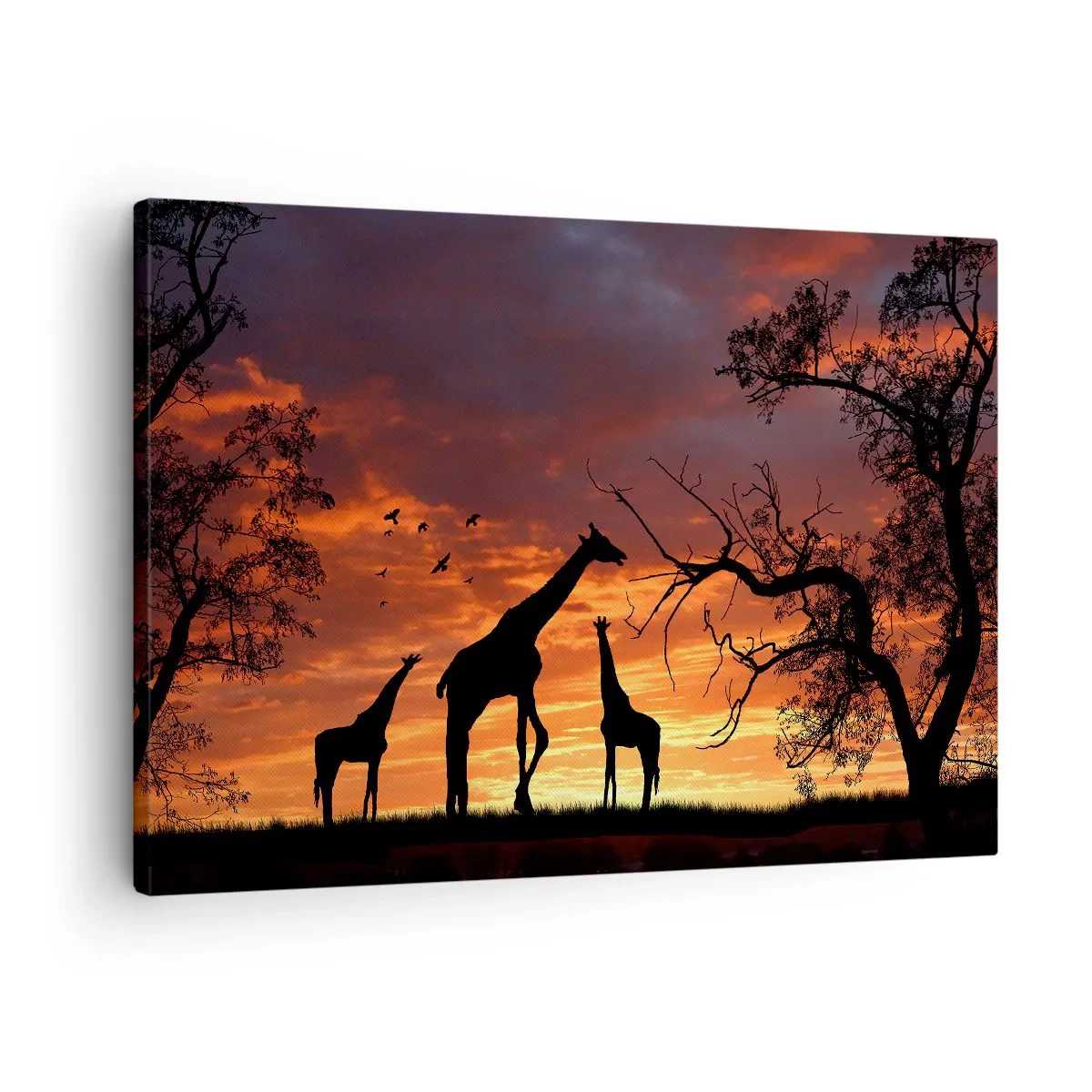 Obraz na plátne - Siluety žiráf na pozadí afrického západu slnka - 70x50cm - Malá večera v kruhu najbližších - Moderná nástenná dekorácia do obývacej izby a spálne ARTTOR