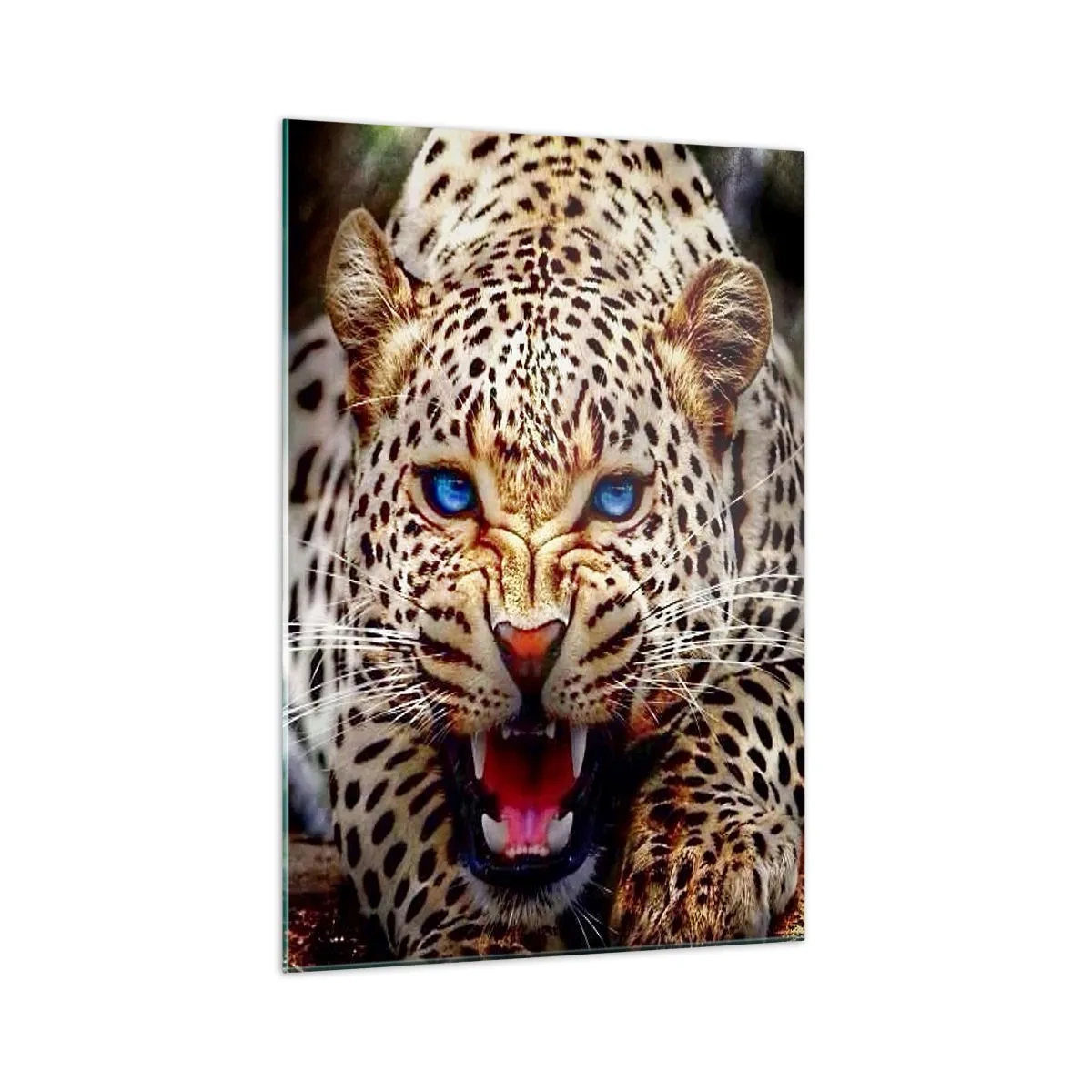 Obraz na skle - Zlosť kráse neškodí - 70x100 cm