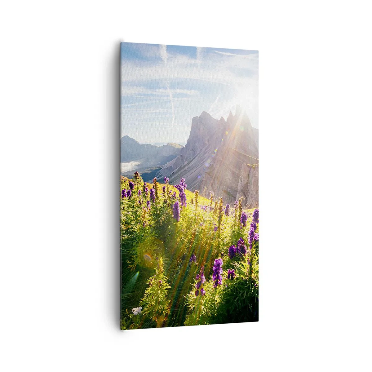 Obraz na plátne - Tajomný život bylín - 65x120 cm