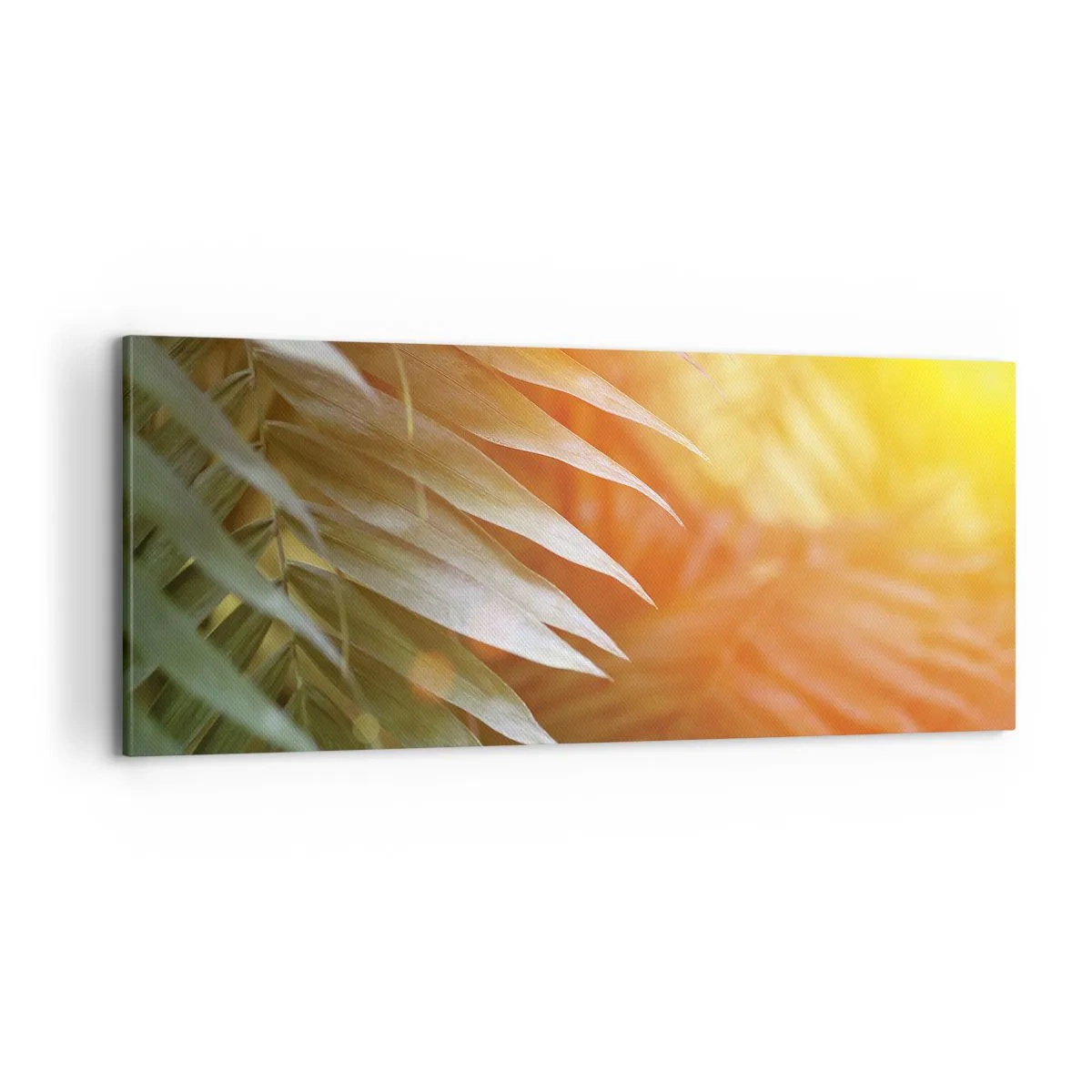 Obraz na plátne - Ráno v džungli - 100x40 cm