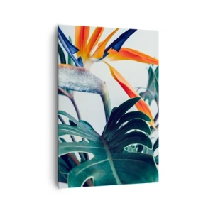 Obraz na plátne - Vtáker - 70x100 cm