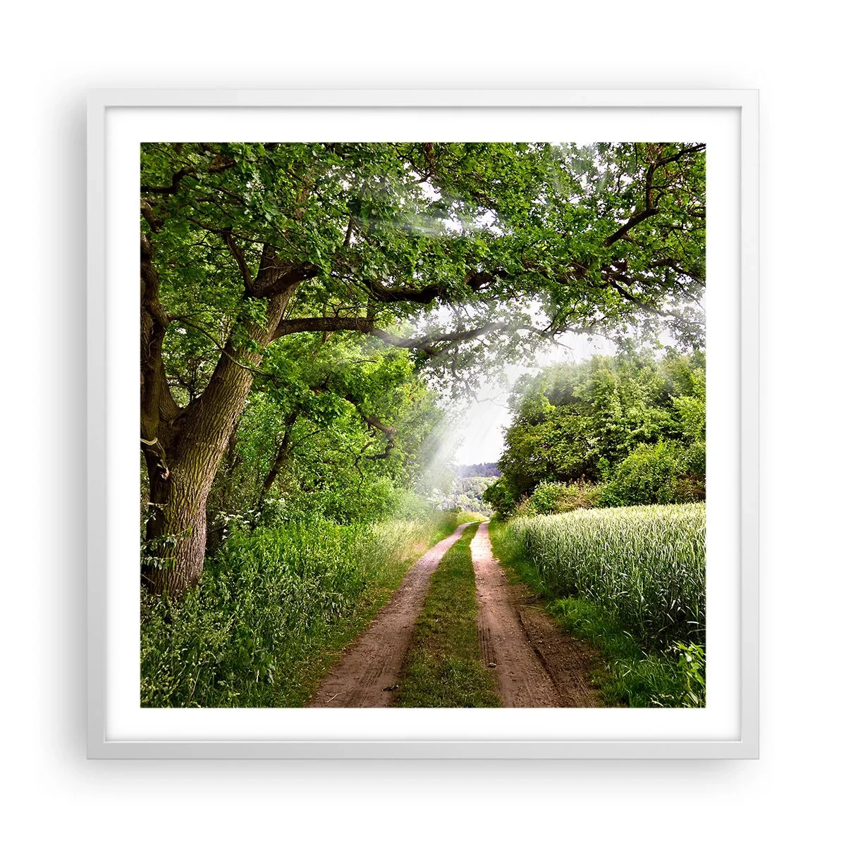 Plagát v bielom ráme - Et in Arcadia ego - 60x60 cm