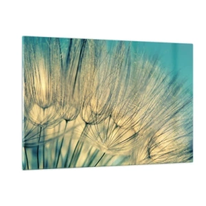 Obraz na skle - Čakanie na vietor - 120x80 cm