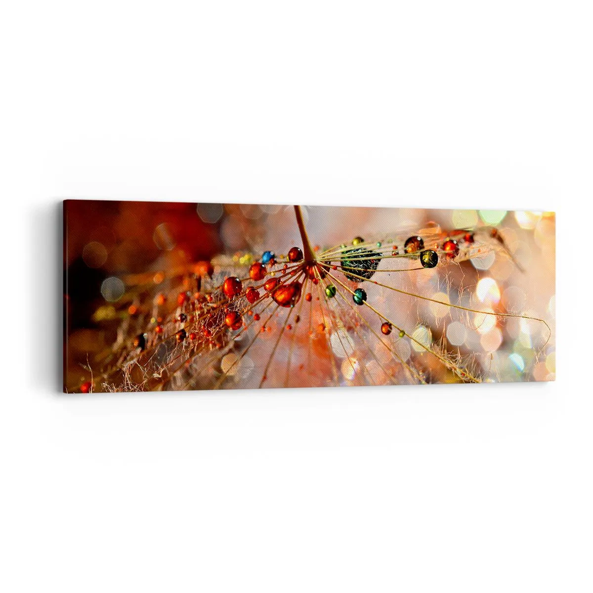 Obraz na plátne - Navlečené na pavučinu - 90x30 cm